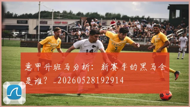 意甲升班马分析：新赛季的黑马会是谁？_20260528192914